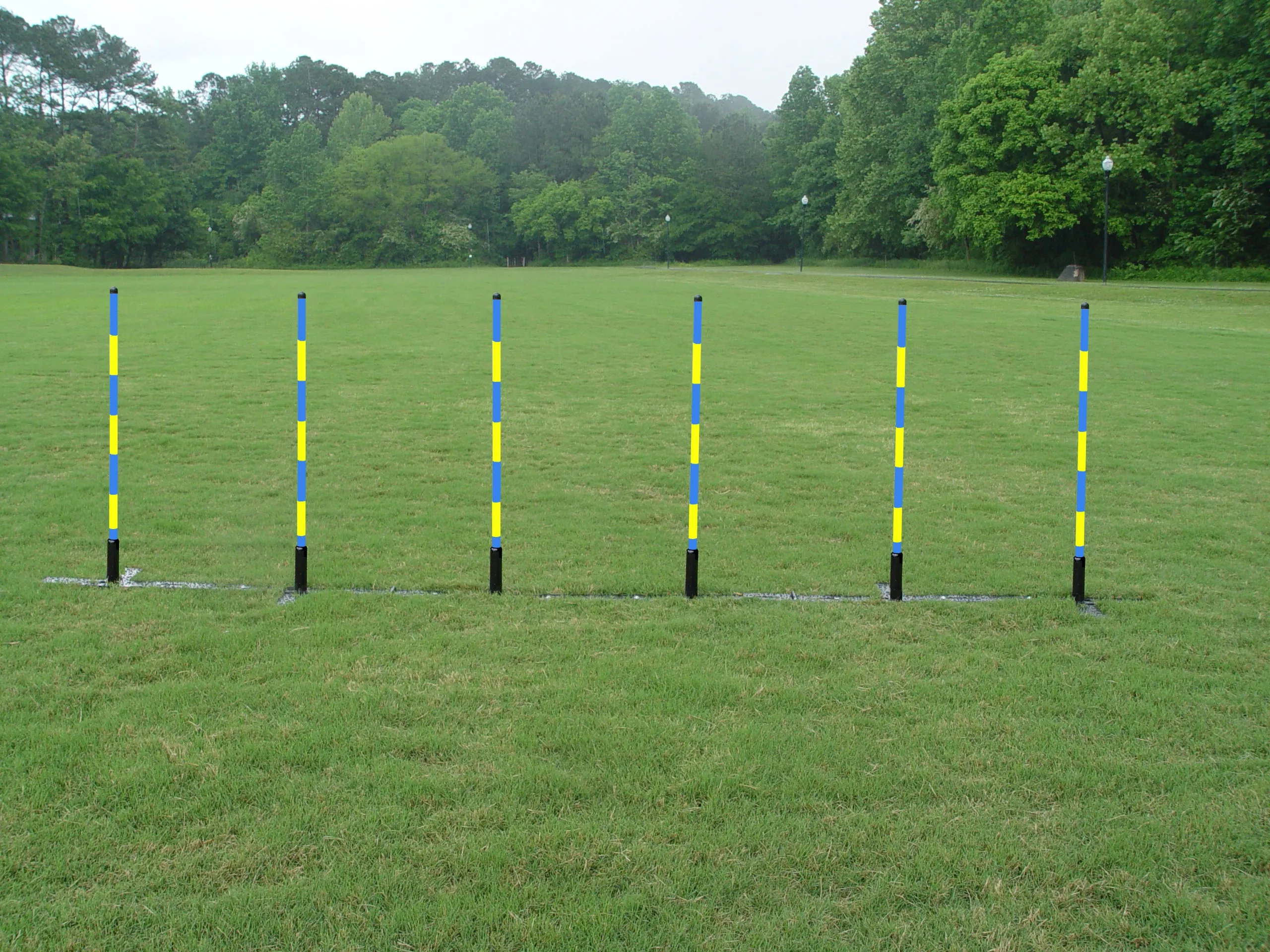6 Pole Weave Poles with Adjustable Pole Spacing From 19" to 25"