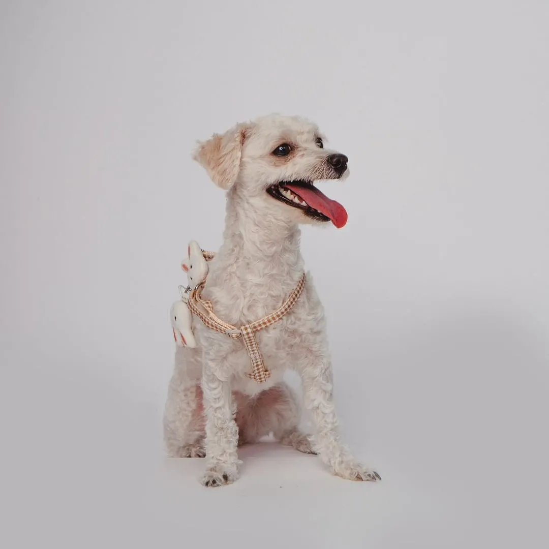 Anti-Slip Y-Shape Pet Harness - Pink