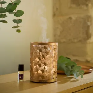 Aroma Mist Diffuser - Esteban Copper & Light Edition Perfume