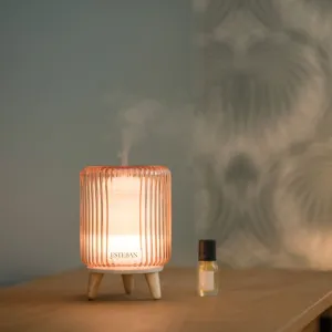 Aroma Mist Diffuser-Esteban So Retro Perfume
