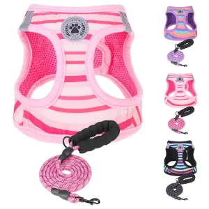 BEAUTYZOO Dog Harness and Leash Set for Small Dogs,No Pull Step-in Harness for Puppy XS S Sized Dogs and Cats,Air Mesh Adjustable Breathable Soft No Chock Escape Proof Vest Harnesses,Striped Pink XXS