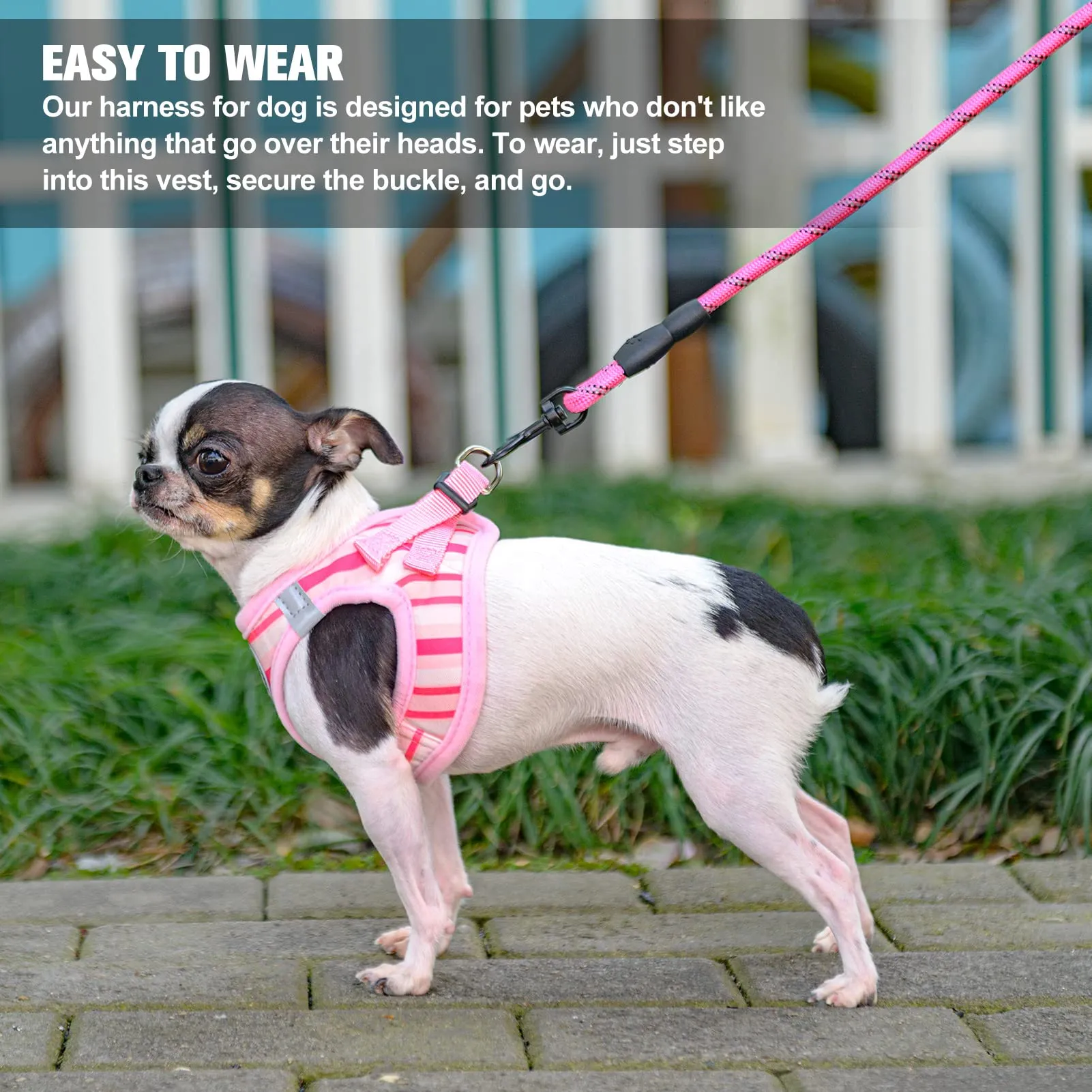 BEAUTYZOO Dog Harness and Leash Set for Small Dogs,No Pull Step-in Harness for Puppy XS S Sized Dogs and Cats,Air Mesh Adjustable Breathable Soft No Chock Escape Proof Vest Harnesses,Striped Pink XXS