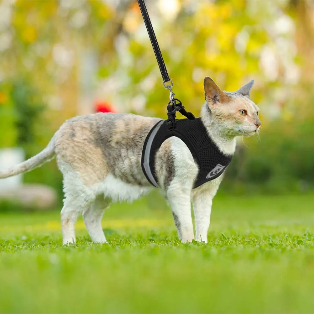Breathable Cat Harness And Leash Escape Proof Pet Clothes