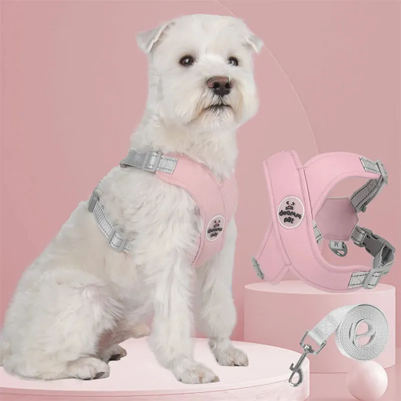 Breathable Mesh Dog Harness Vest with Reflective Leash Set for Small to Medium Dogs and Cats