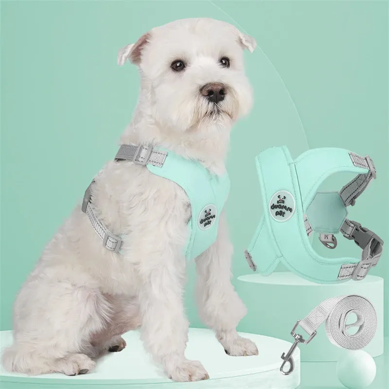 Breathable Mesh Dog Harness Vest with Reflective Leash Set for Small to Medium Dogs and Cats