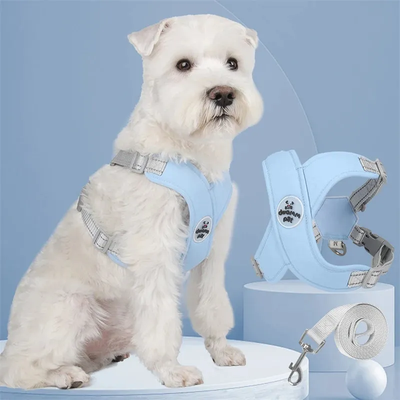Breathable Mesh Dog Harness Vest with Reflective Leash Set for Small to Medium Dogs and Cats