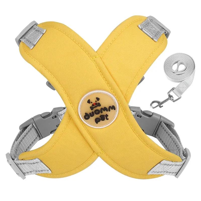 Breathable Mesh Dog Harness Vest with Reflective Leash Set for Small to Medium Dogs and Cats