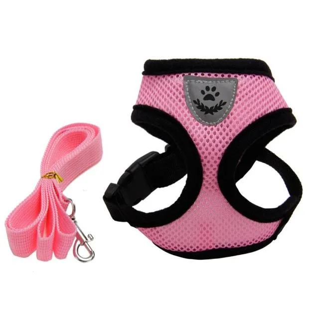 Breathable Mesh Harness and Leash Small Dog