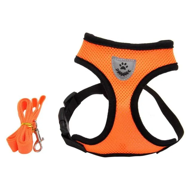 Breathable Mesh Harness and Leash Small Dog