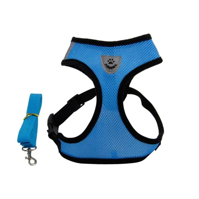 Breathable Mesh Harness and Leash Small Dog
