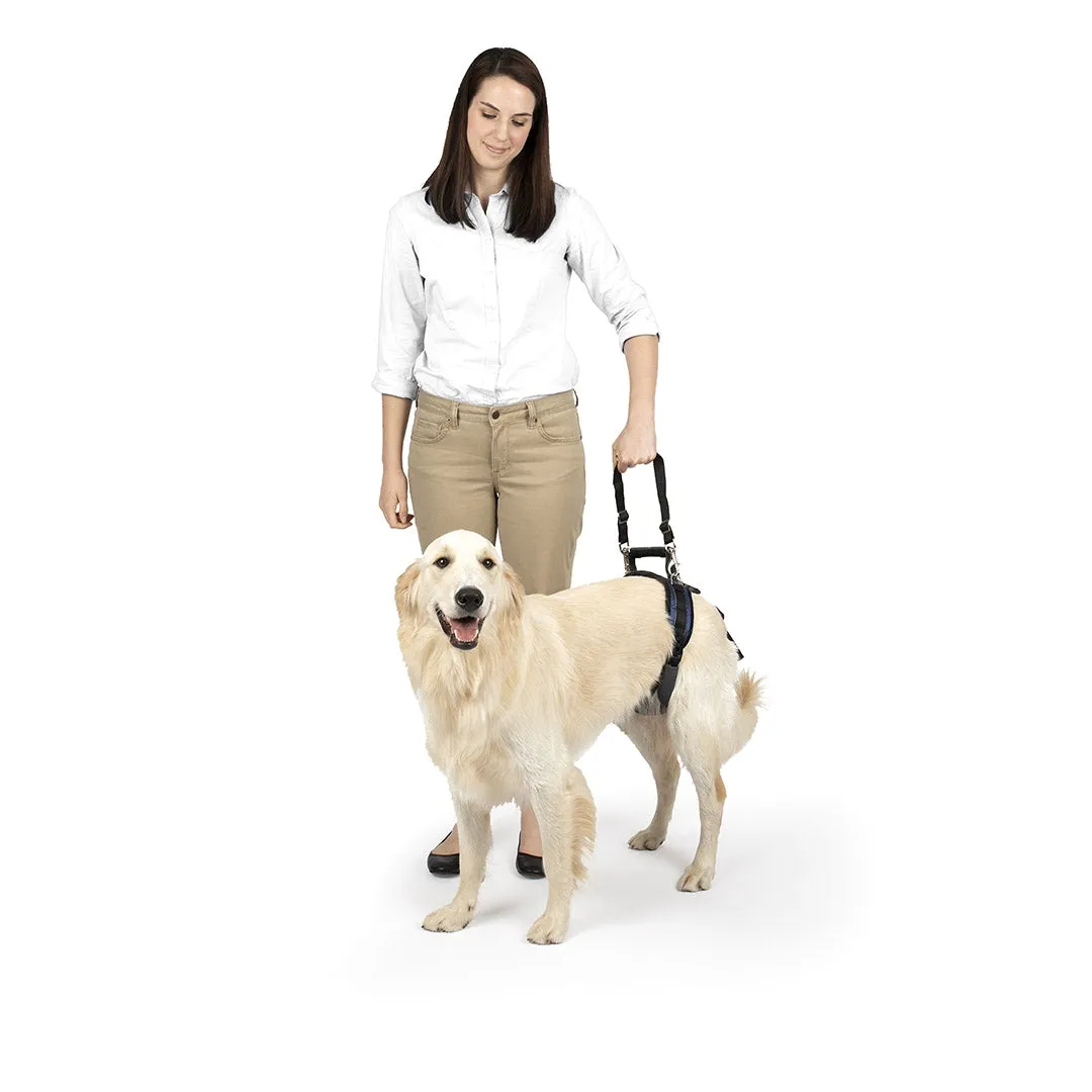 CareLift™ Rear Support Harness