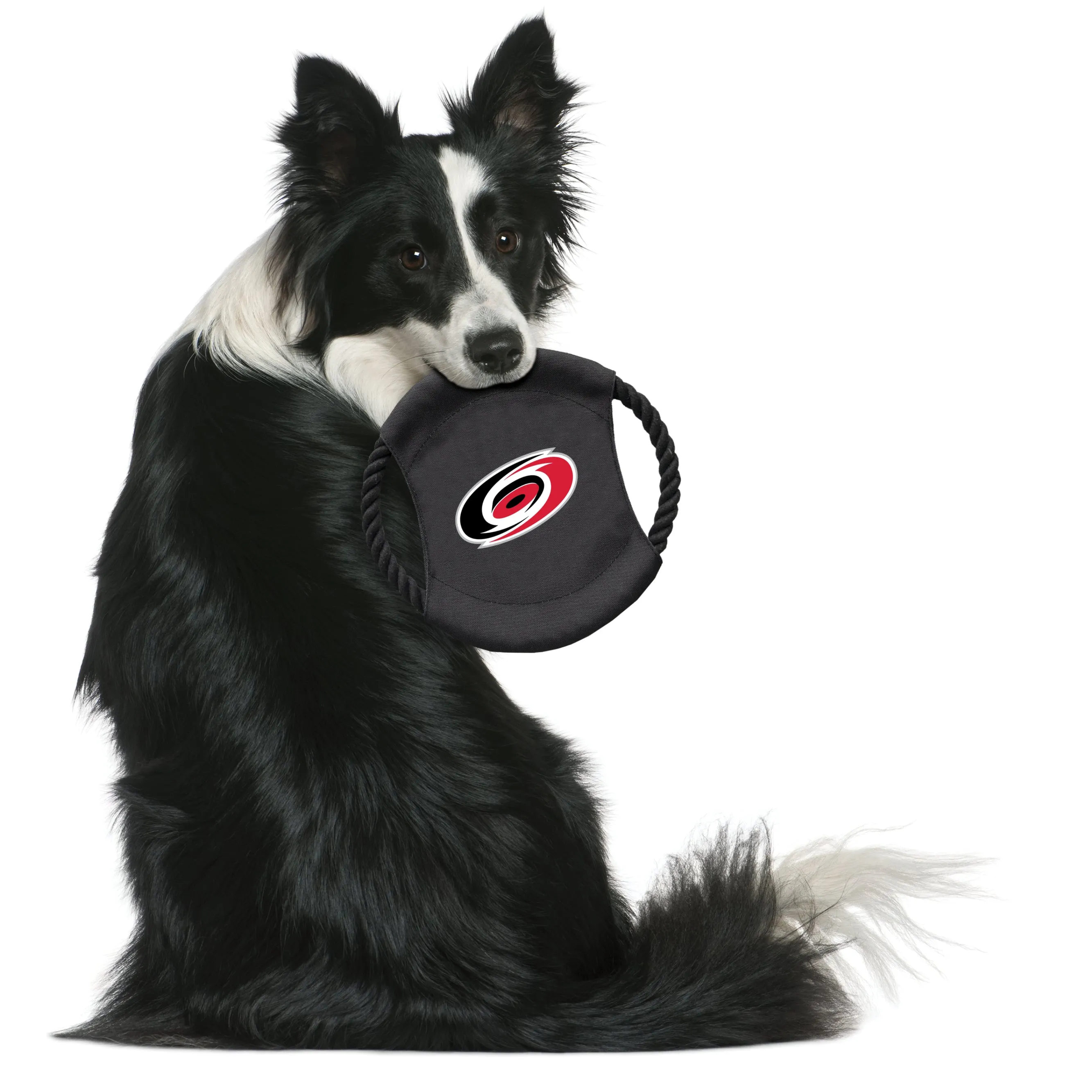 Carolina Hurricanes Team Flying Disc Pet Toy