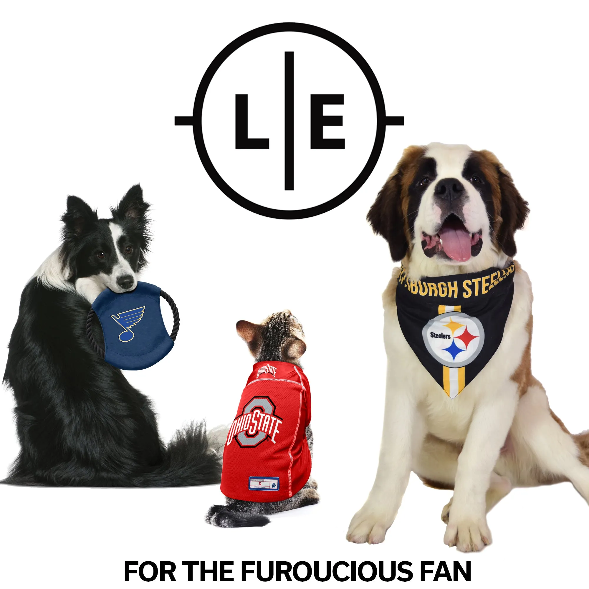 Colorado Avalanche Team Flying Disc Pet Toy