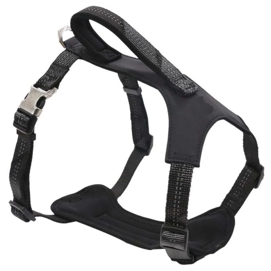 Comfortable, durable, and highly visible pet leash and harness.