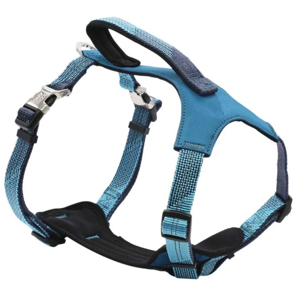 Comfortable, durable, and highly visible pet leash and harness.