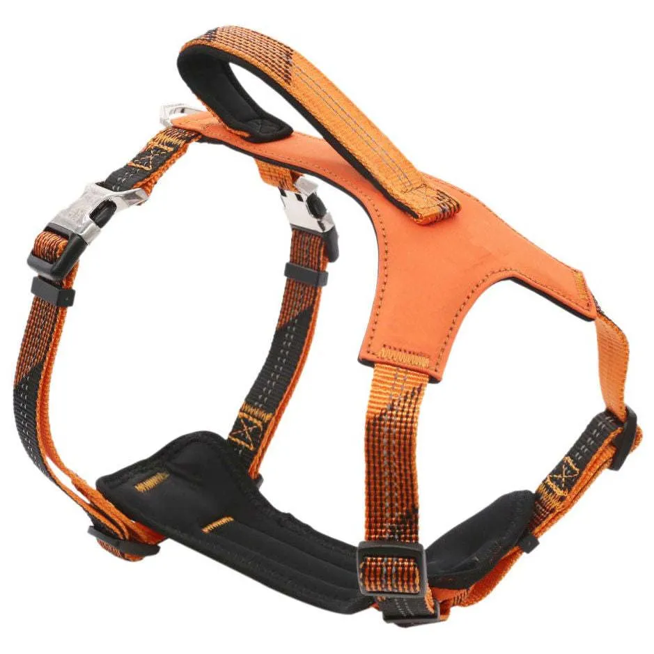 Comfortable, durable, and highly visible pet leash and harness.