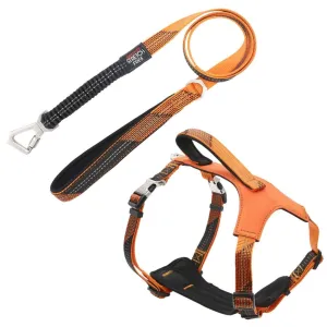 Comfortable, durable, and highly visible pet leash and harness.
