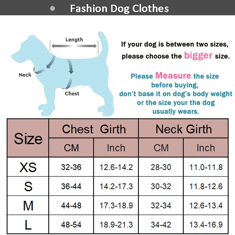 Comfortable Reflective Pet Harness and Leash Set for Small to Medium Dogs and Cats
