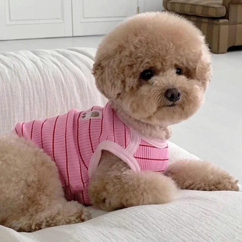 Cute Pet Lounge Wear