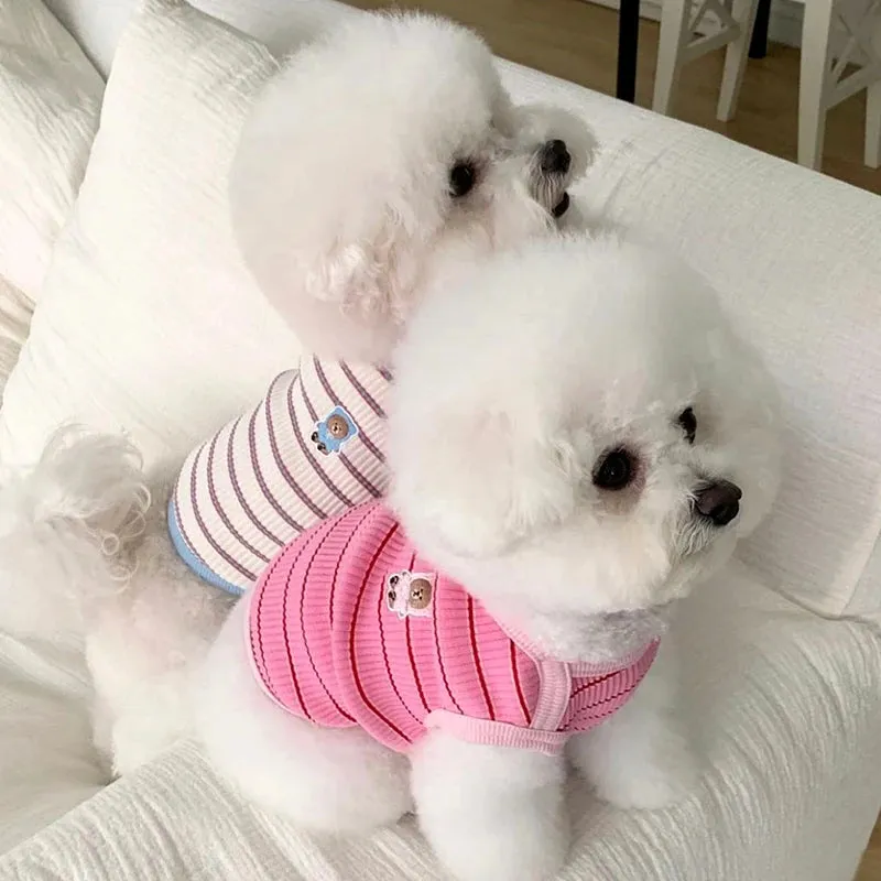 Cute Pet Lounge Wear