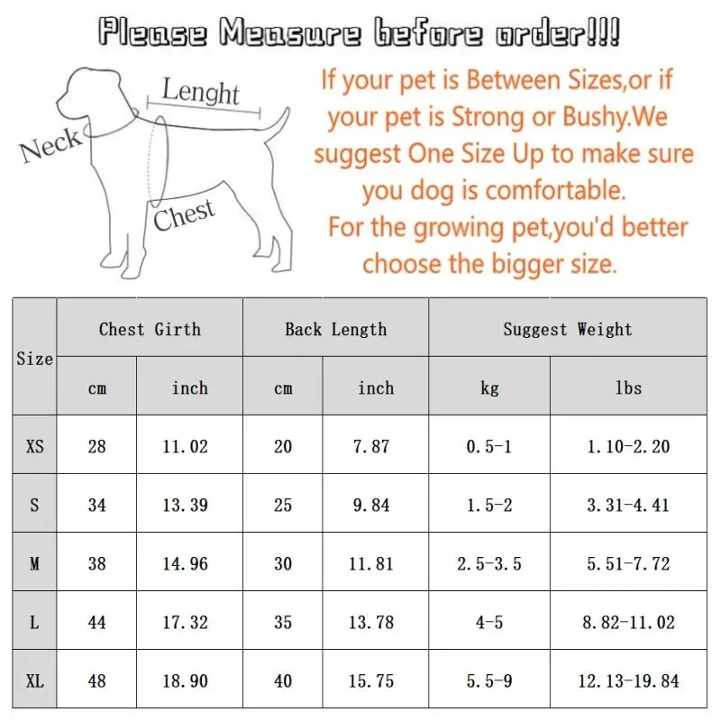 Cute Pet Lounge Wear