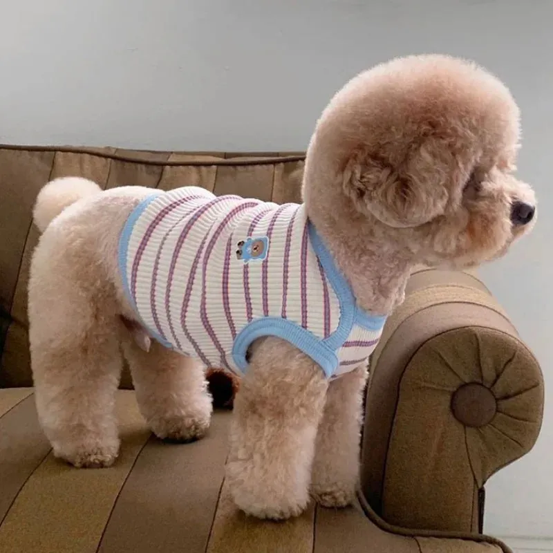 Cute Pet Lounge Wear
