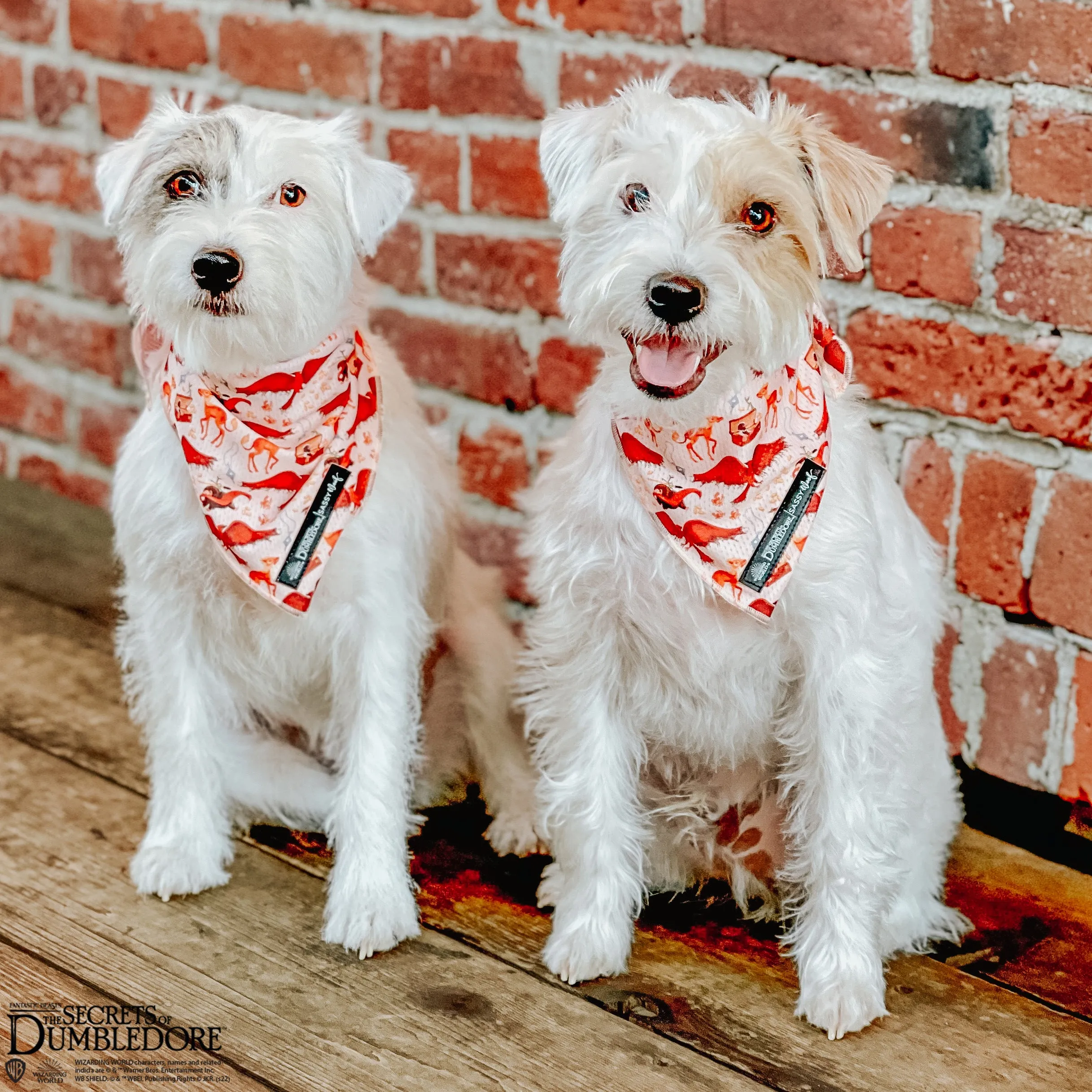 Dog Bandana - Fantastic Beasts™