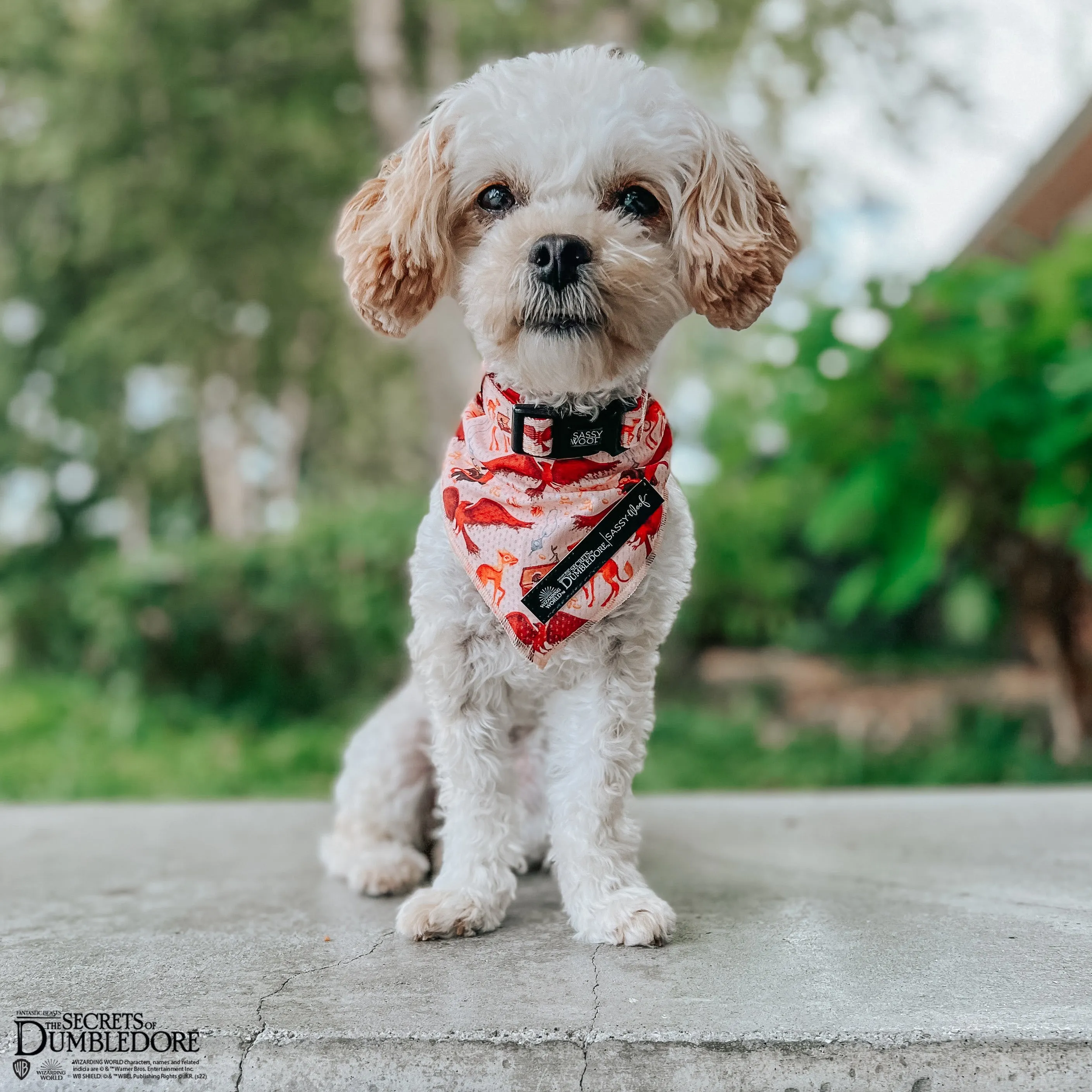 Dog Bandana - Fantastic Beasts™