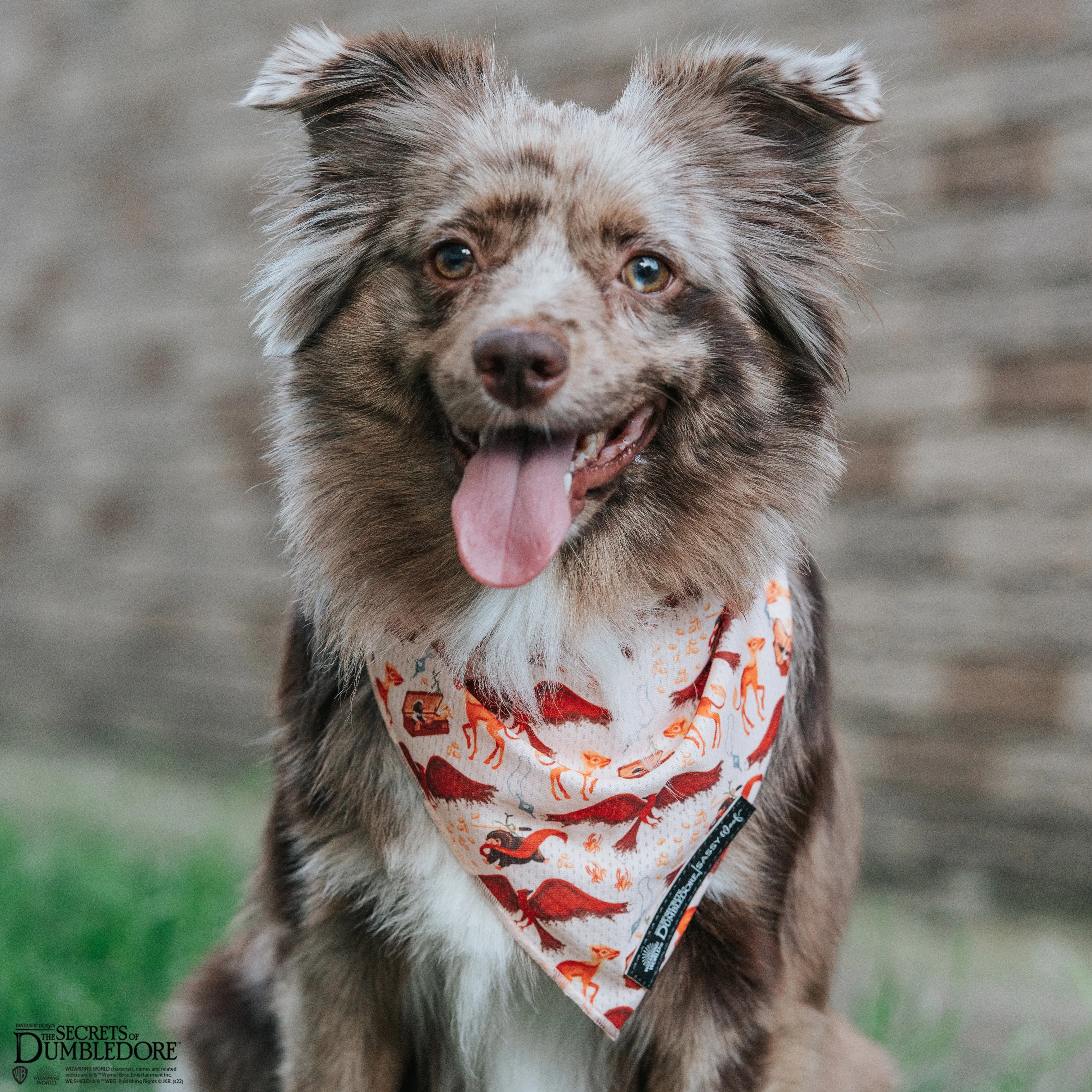 Dog Bandana - Fantastic Beasts™