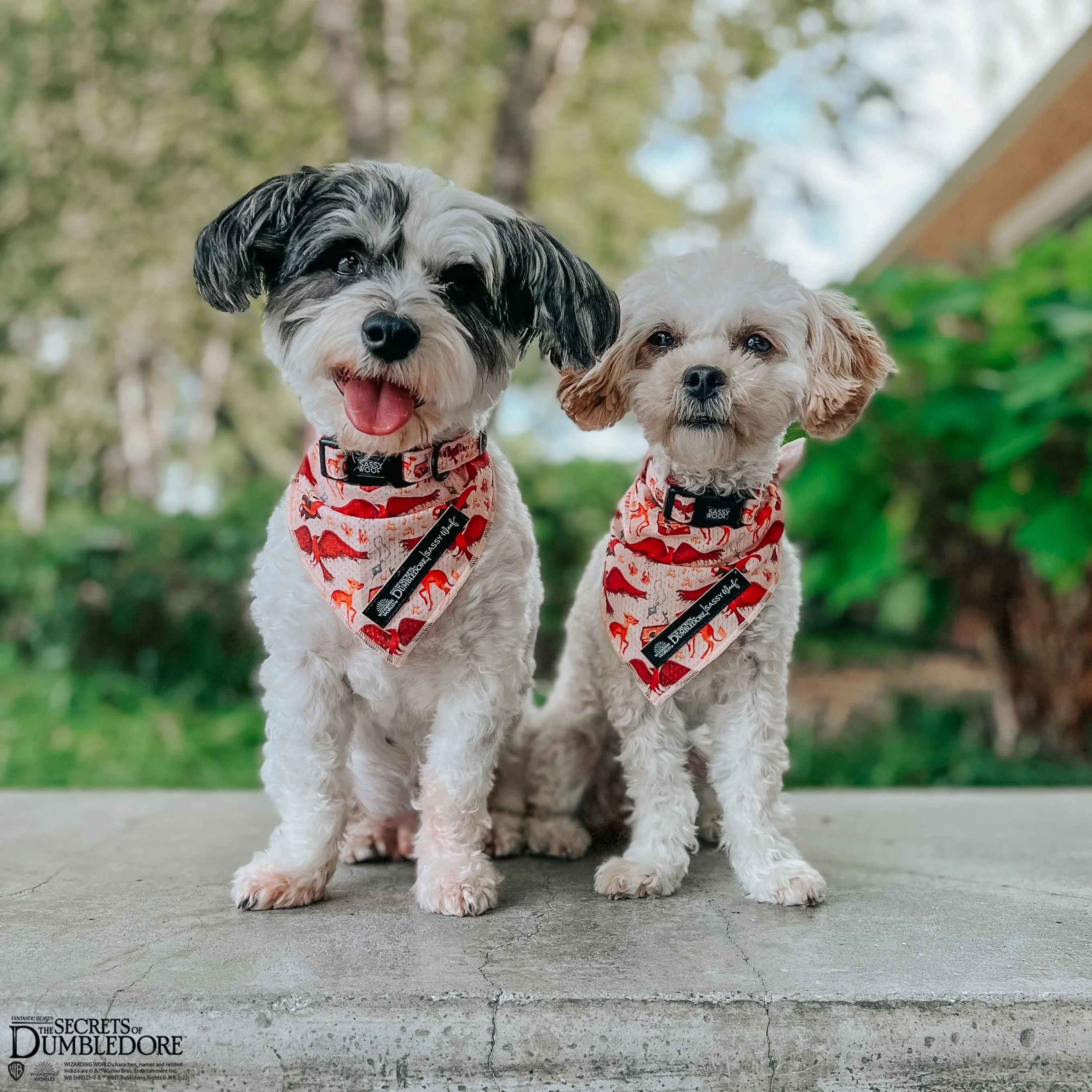 Dog Bandana - Fantastic Beasts™