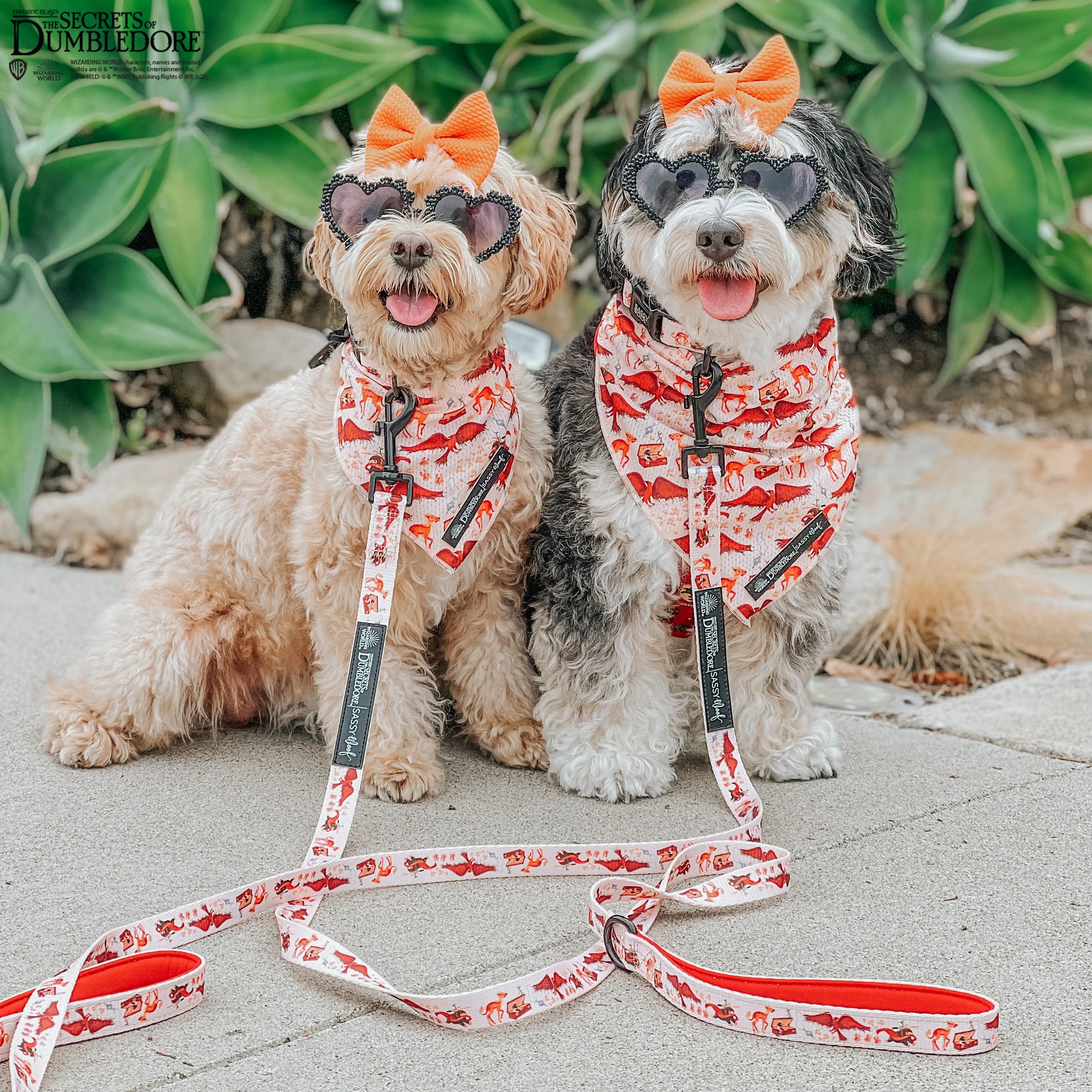 Dog Bandana - Fantastic Beasts™