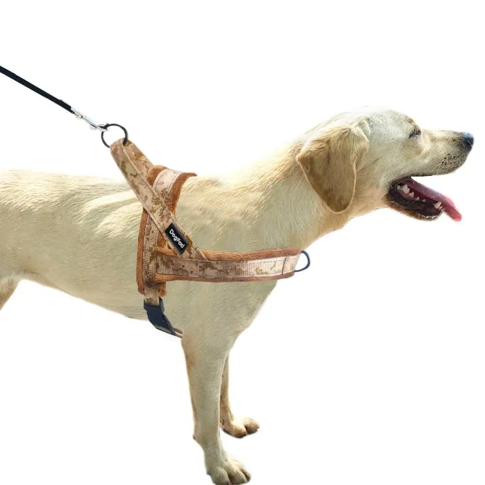 Dog Harness With Comfortable Lining And Dog Lead
