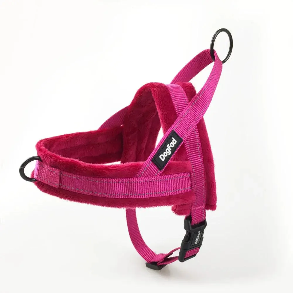 Dog Harness With Comfortable Lining And Dog Lead