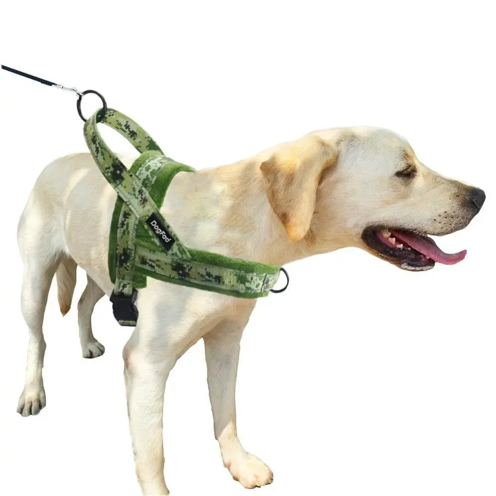 Dog Harness With Comfortable Lining And Dog Lead