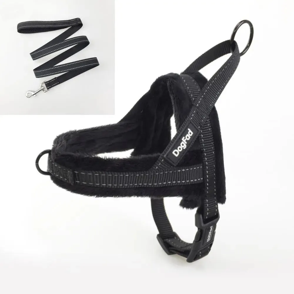 Dog Harness With Comfortable Lining And Dog Lead