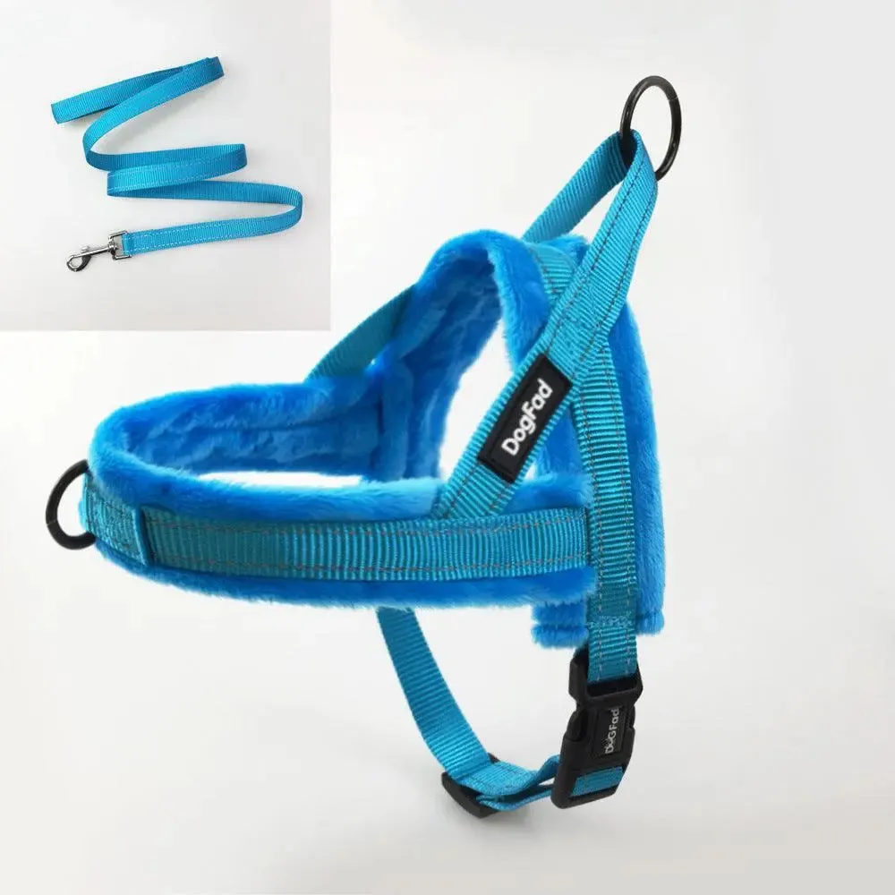 Dog Harness With Comfortable Lining And Dog Lead