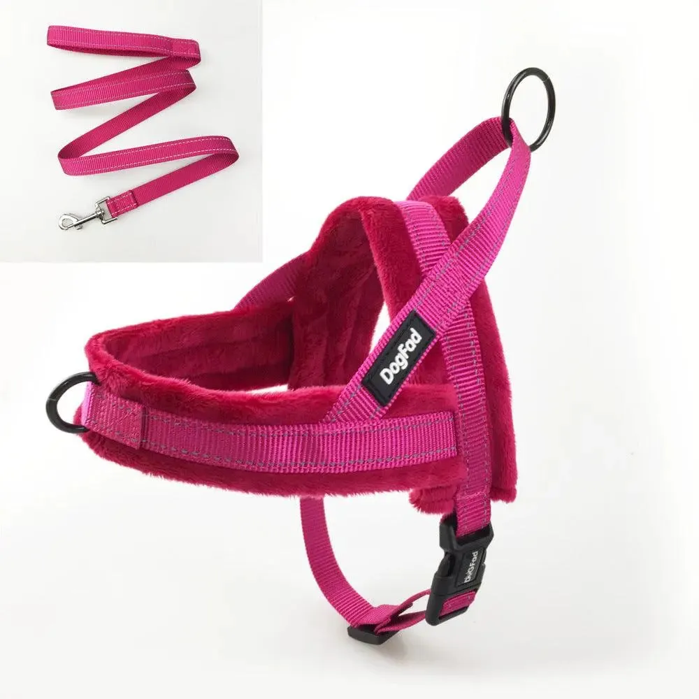 Dog Harness With Comfortable Lining And Dog Lead