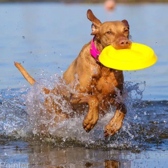 Durafoam Super Tough Foam Frisbee