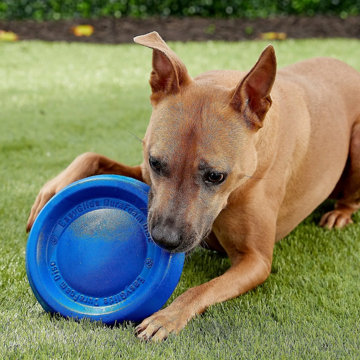 Durafoam Super Tough Foam Frisbee