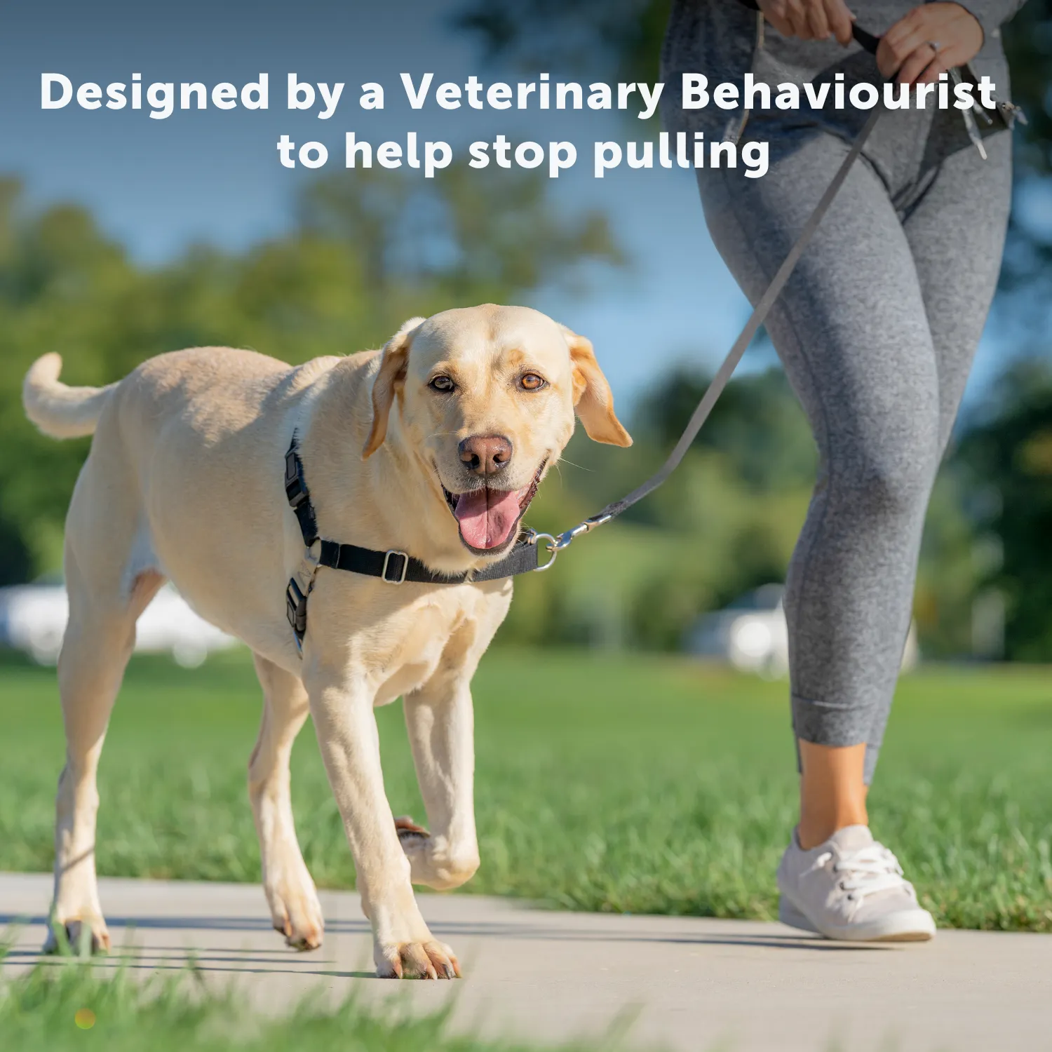 Easy Walk® Harness, No Pull Dog Harness