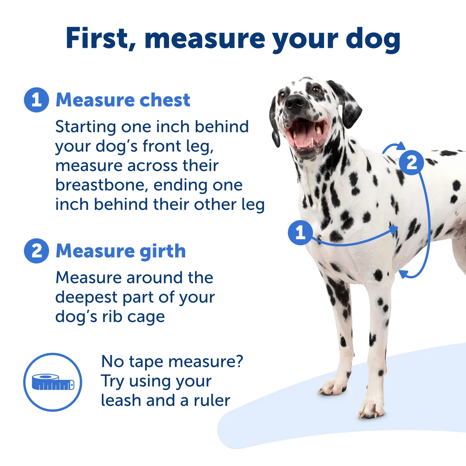 Easy Walk® Harness, No Pull Dog Harness