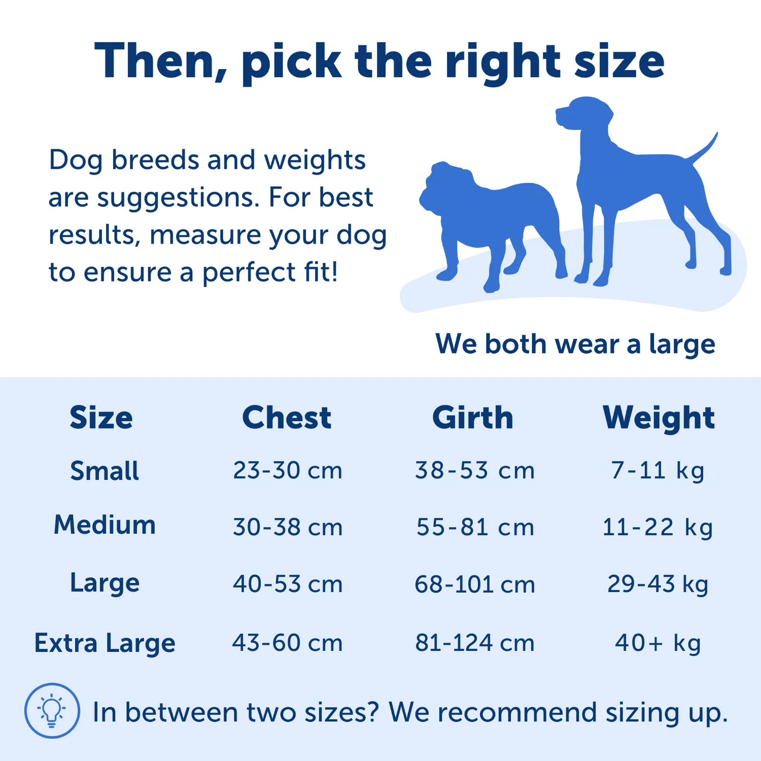 Easy Walk® Harness, No Pull Dog Harness