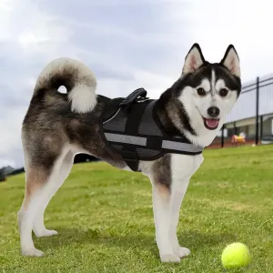 Ez-Pet Vest Collar Soft Adjustable Harness