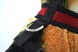 FLASH SALE FREE! COLORFUL SOFT MESH FRONT SMALL DOG HARNESS SIZES XS - XL