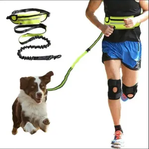 Hands-Free Dog Walking Leash