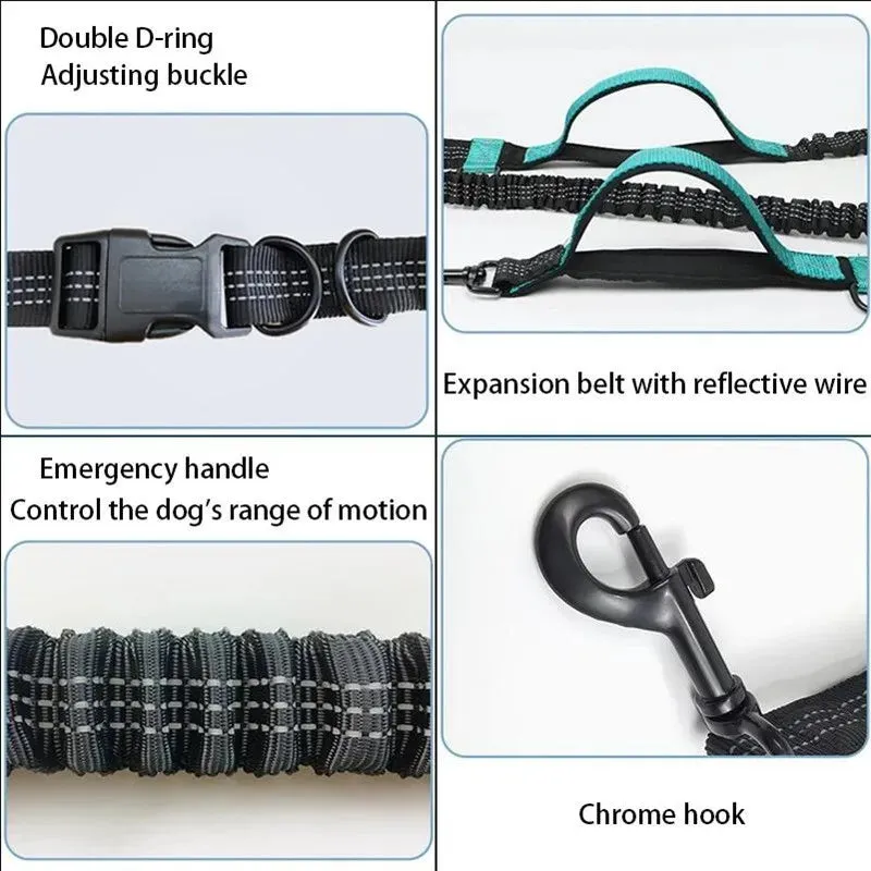 Hands Free Multi-Dog Leash