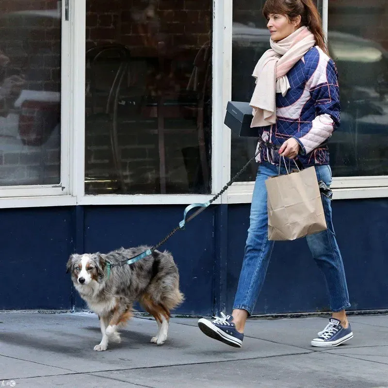 Hands Free Multi-Dog Leash