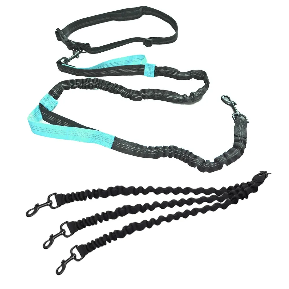 Hands Free Multi-Dog Leash