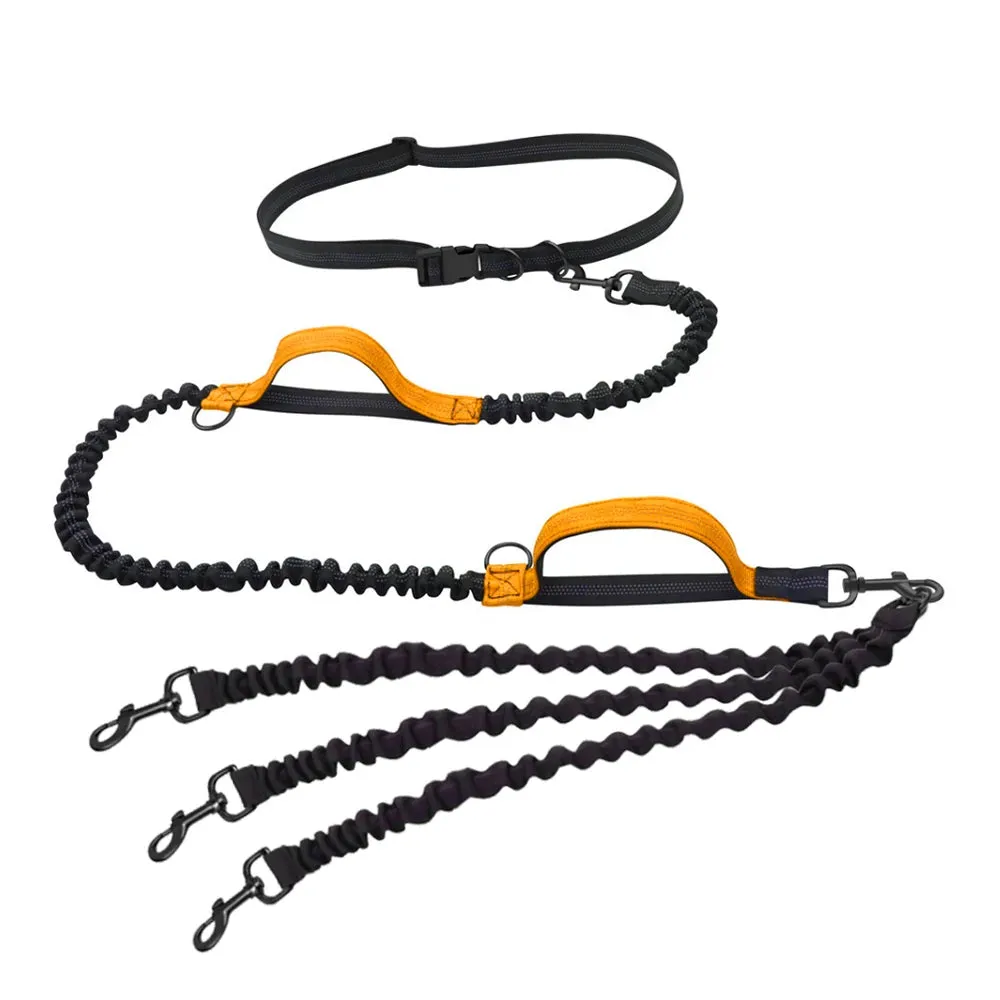 Hands Free Multi-Dog Leash
