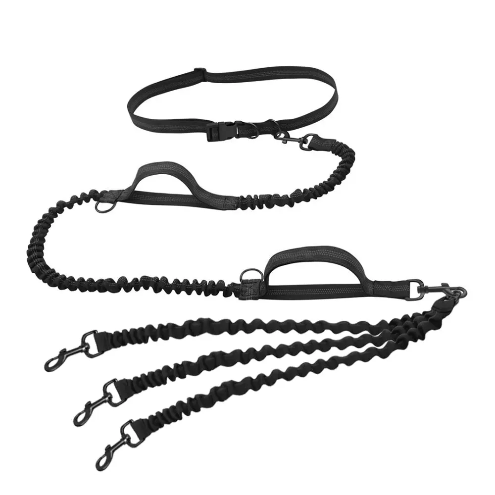 Hands Free Multi-Dog Leash